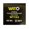 Лампа накаливания WT153 E27, 60W, теплый свет 2700К, с винтовым ES 27мм цоколем, прозрачная, шар