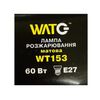 Лампа накаливания WT153 E27, 60W, теплый свет 2700К, с винтовым ES 27мм цоколем, матовая, шар