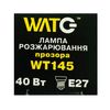 Лампа накаливания WT145 E27, 40W, теплый свет 2700К, с винтовым ES 27мм цоколем, прозрачная, свеча