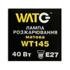 Лампа накаливания WT145 E27, 40W, теплый свет 2700К, с винтовым ES 27мм цоколем, матовая, свеча