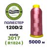 Нитки для машинной вышивки 100% полиэстер, 120D/2, 5000м, 3017 (R1824), BN4