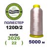 Нитки для машинной вышивки 100% полиэстер, 120D/2, 5000м, 3026 (22), BN3