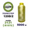 Нитки для машинной вышивки 100% полиэстер, 120D/2, 5000м, 3131 (R1970), BN28