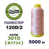 Нитки для машинной вышивки 100% полиэстер, 120D/2, 5000м, 3010 (R1734), BN4