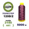 Нитки для машинной вышивки 100% полиэстер, 120D/2, 5000м, 3190 (441), BN12